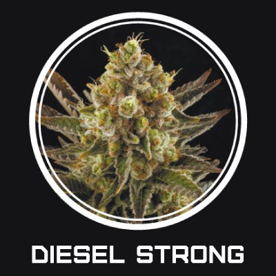 Diesel Strong fem