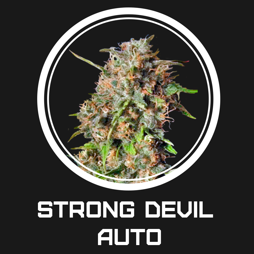 Strong Devil Auto