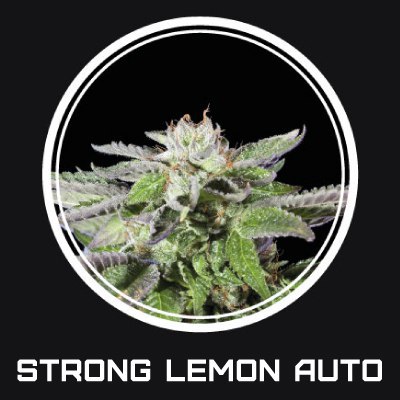 Strong Lemon autofem