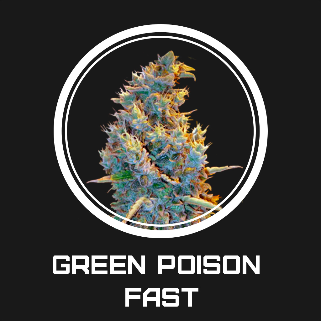 Green Poison Fast fem
