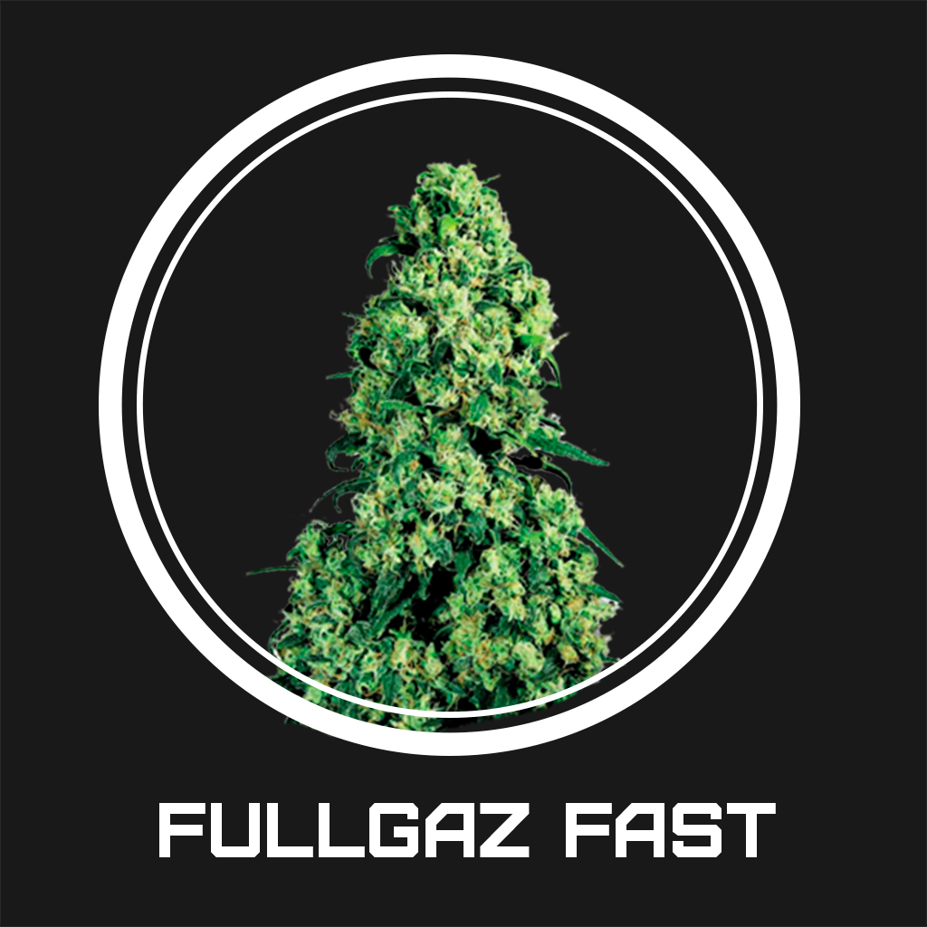 Fullgaz Fast fem