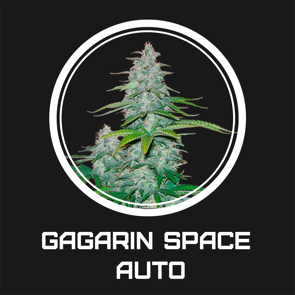 Gagarin Space Auto