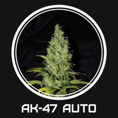 AK47 auto