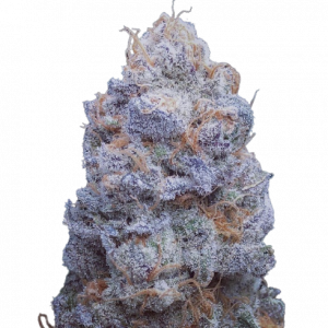Auto Cherry Breath genetics autofem